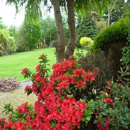 Bed & Breakfast Meadow Bank Blarney
