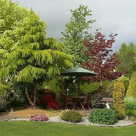 Meadow Bank Blarney
